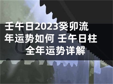 壬午日2023癸卯流年运势如何 壬午日柱全年运势详解