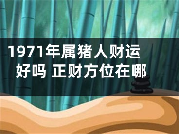 1971年属猪人财运好吗 正财方位在哪