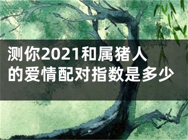 测你2021和属猪人的爱情配对指数是多少