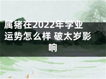 属猪在2022年学业运势怎么样 破太岁影响