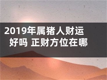 2019年属猪人财运好吗 正财方位在哪