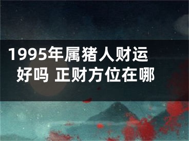 1995年属猪人财运好吗 正财方位在哪