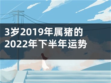 3岁2019年属猪的2022年下半年运势