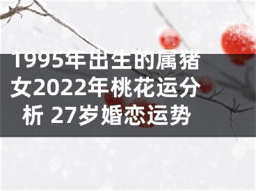 1995年出生的属猪女2022年桃花运分析 27岁婚恋运势