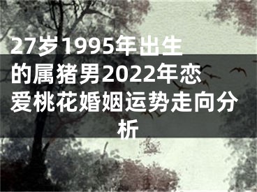 27岁1995年出生的属猪男2022年恋爱桃花婚姻运势走向分析