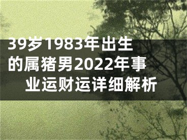 39岁1983年出生的属猪男2022年事业运财运详细解析