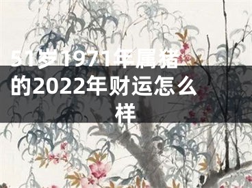 51岁1971年属猪的2022年财运怎么样