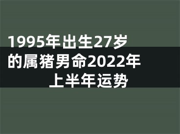 1995年出生27岁的属猪男命2022年上半年运势