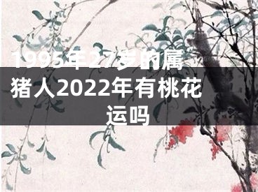 1995年27岁的属猪人2022年有桃花运吗