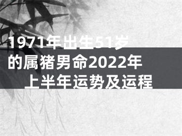 1971年出生51岁的属猪男命2022年上半年运势及运程