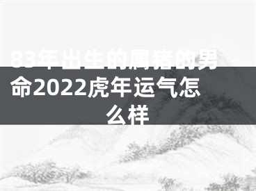 83年出生的属猪的男命2022虎年运气怎么样