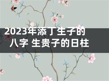 2023年添丁生子的八字 生贵子的日柱