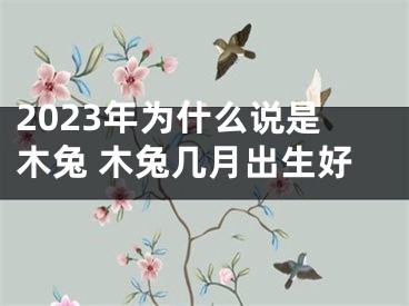 2023年为什么说是木兔 木兔几月出生好