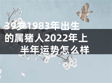 39岁1983年出生的属猪人2022年上半年运势怎么样