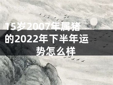 15岁2007年属猪的2022年下半年运势怎么样