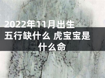 2022年11月出生五行缺什么 虎宝宝是什么命