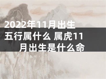 2022年11月出生五行属什么 属虎11月出生是什么命