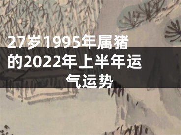 27岁1995年属猪的2022年上半年运气运势