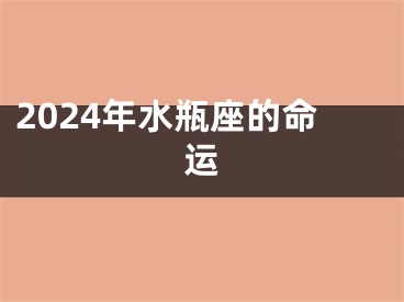 2024年水瓶座的命运