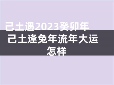 己土遇2023癸卯年 己土逢兔年流年大运怎样