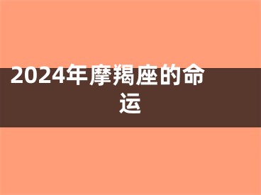 2024年摩羯座的命运