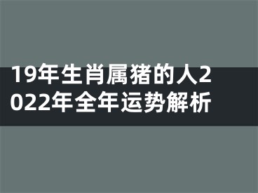 19年生肖属猪的人2022年全年运势解析