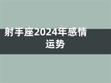 射手座2024年感情运势