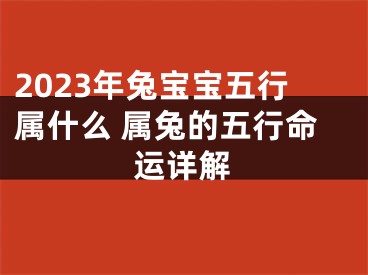 2023年兔宝宝五行属什么 属兔的五行命运详解