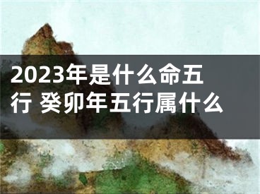 2023年是什么命五行 癸卯年五行属什么