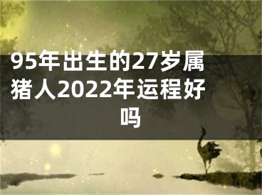 95年出生的27岁属猪人2022年运程好吗