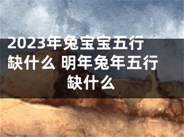 2023年兔宝宝五行缺什么 明年兔年五行缺什么