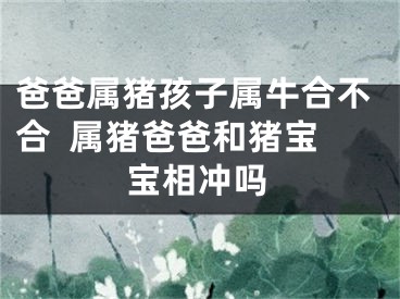 爸爸属猪孩子属牛合不合  属猪爸爸和猪宝宝相冲吗