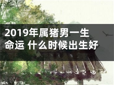 2019年属猪男一生命运 什么时候出生好