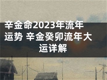 辛金命2023年流年运势 辛金癸卯流年大运详解