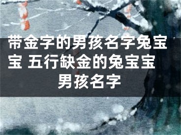 带金字的男孩名字兔宝宝 五行缺金的兔宝宝男孩名字