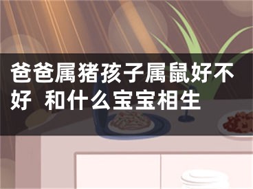 爸爸属猪孩子属鼠好不好  和什么宝宝相生