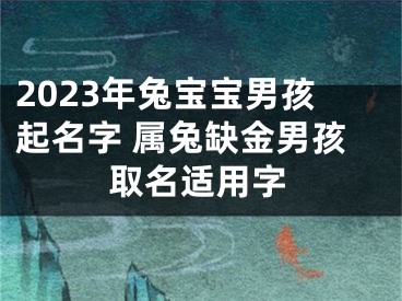 2023年兔宝宝男孩起名字 属兔缺金男孩取名适用字