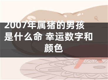 2007年属猪的男孩是什么命 幸运数字和颜色