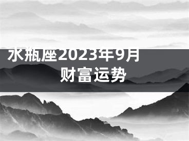 水瓶座2023年9月财富运势