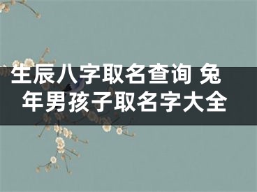 生辰八字取名查询 兔年男孩子取名字大全