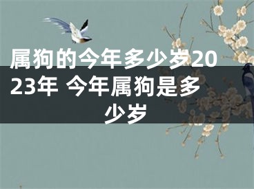 属狗的今年多少岁2023年 今年属狗是多少岁