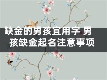 缺金的男孩宜用字 男孩缺金起名注意事项