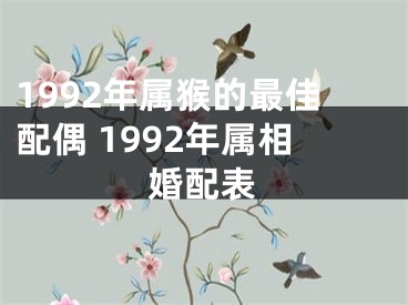 1992年属猴的最佳配偶 1992年属相婚配表