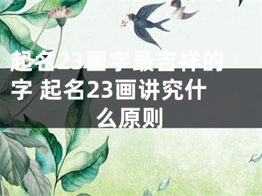 起名23画字最吉祥的字 起名23画讲究什么原则