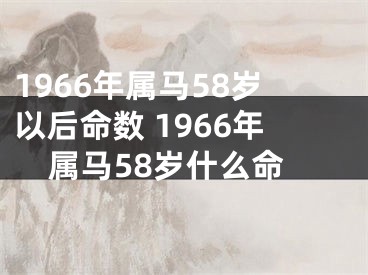 1966年属马58岁以后命数 1966年属马58岁什么命