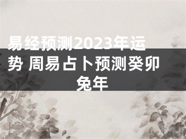 易经预测2023年运势 周易占卜预测癸卯兔年