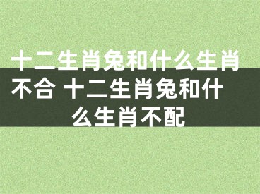 十二生肖兔和什么生肖不合 十二生肖兔和什么生肖不配