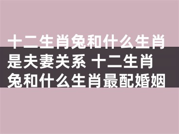 十二生肖兔和什么生肖是夫妻关系 十二生肖兔和什么生肖最配婚姻