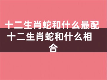 十二生肖蛇和什么最配 十二生肖蛇和什么相合