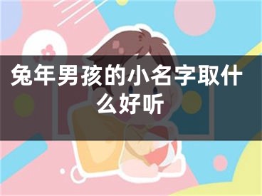 兔年男孩的小名字取什么好听